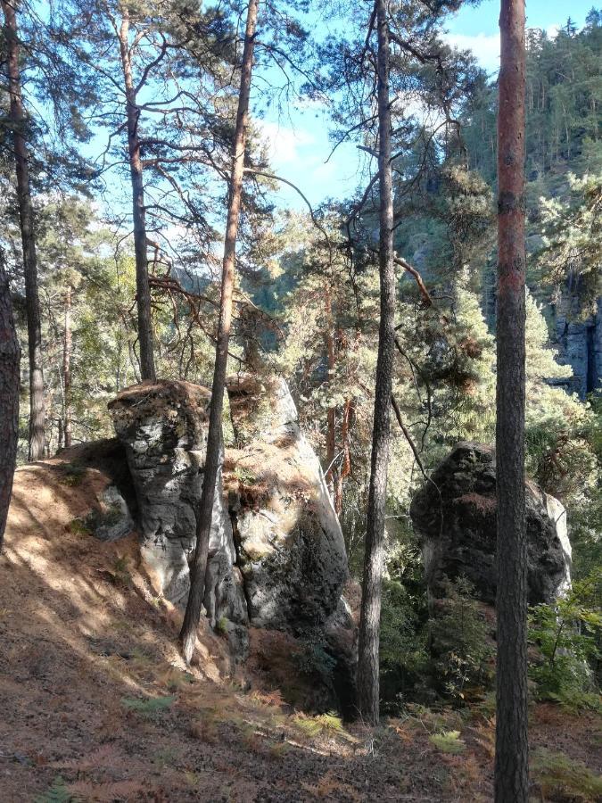 Pension Kral Jablonec nad Nisou Buitenkant foto